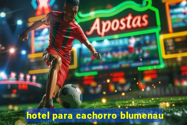 hotel para cachorro blumenau